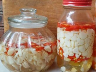 Tác dụng của tỏi ngâm giấm cùng những lưu ý khi sử dụng