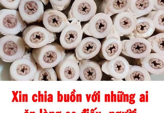 Trung Quốc có món lòng xe điếu hay không? Trung Quốc có món lòng xe điếu hay không?