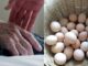 Di chúc của cha: 200 triệu cho con trai cả, căn nhà cho con trai thứ và 1 rổ trứng cho con gái duy nhất