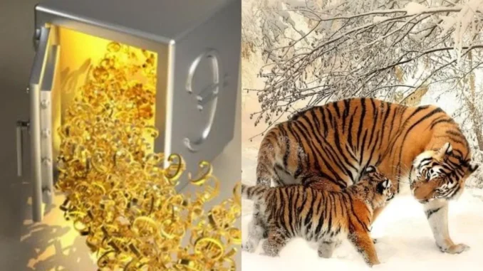 Tháng 5 âm lịch: 3 con giáp bà Chúa Kho gọi tên, Tài Lộc no nê, số 1 đếm tiền mỏi tay Tháng 5 âm lịch: 3 con giáp bà Chúa Kho gọi tên, Tài Lộc no nê, số 1 đếm tiền mỏi tay