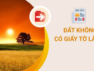 Làm Sổ đỏ cho đất không có giấy tờ: Điều kiện và thủ tục thực hiện