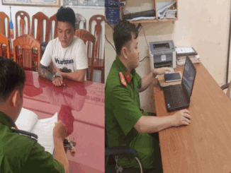 Con rể buôn bán cần sa, cha vợ đi giao hàng