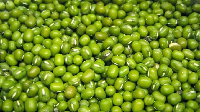 NHỮNG LỢI ÍCH CỦA ĐẬU XANH ĐỐI VỚI SỨC KHỎE VÀ SẮC ĐẸP ÍT NGƯỜI BIẾT NHỮNG LỢI ÍCH CỦA ĐẬU XANH ĐỐI VỚI SỨC KHỎE VÀ SẮC ĐẸP ÍT NGƯỜI BIẾT