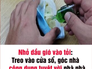 Nhỏ dầu gió vào tỏi: Treo vào cửa sổ, góc nhà có công dụng tuyệt vời