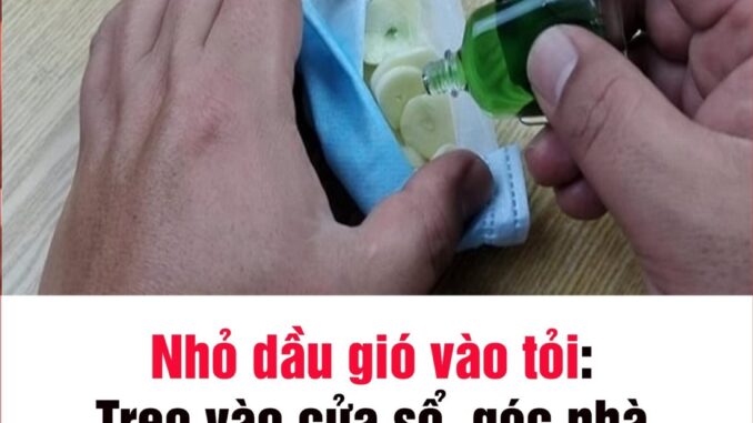 Nhỏ dầu gió vào tỏi: Treo vào cửa sổ, góc nhà có công dụng tuyệt vời Nhỏ dầu gió vào tỏi: Treo vào cửa sổ, góc nhà có công dụng tuyệt vời