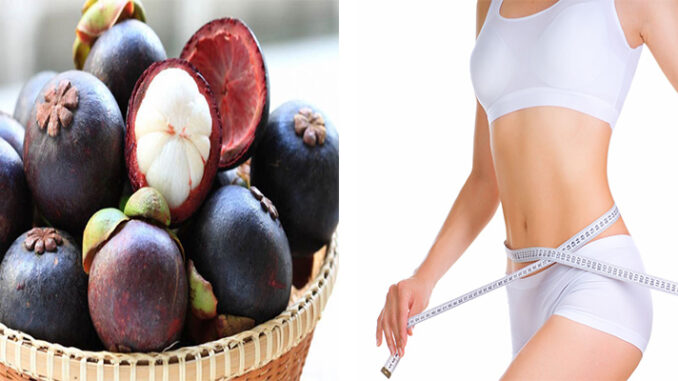 Những công dụng tuyệt vời của trái măng cụt với sức khỏe
