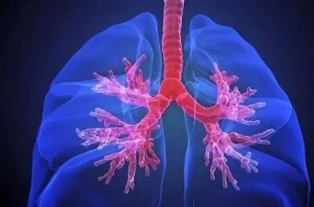 Thấy đau nhức ở “bộ phận” này, có thể là do tế bào ung thư đang 'trỗi dậy' nên cả nam và nữ đừng lơ là Thấy đau nhức ở “bộ phận” này, có thể là do tế bào ung thư đang 'trỗi dậy' nên cả nam và nữ đừng lơ là