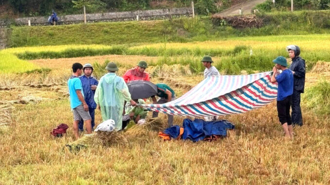 Người đàn ông bị sét đánh tử vong khi đang gặt lúa ngoài ruộng Người đàn ông bị sét đánh tử vong khi đang gặt lúa ngoài ruộng