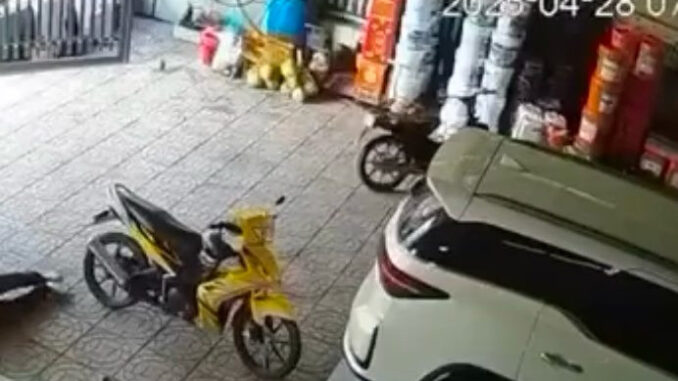 Vụ nổ súng ở Vĩnh Long: Khởi tố vụ án hình sự ‘Giết người’ Vụ nổ súng ở Vĩnh Long: Khởi tố vụ án hình sự ‘Giết người’