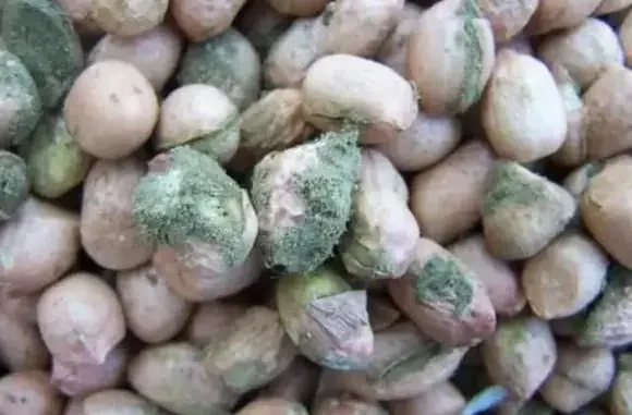 Phát hiện ' chất gây ung thư cấp độ 1', WHO kêu gọi: Ngừng ăn và khuyên cha mẹ kiểm soát Phát hiện ' chất gây ung thư cấp độ 1', WHO kêu gọi: Ngừng ăn và khuyên cha mẹ kiểm soát