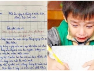 Học sinh lớp 3 làm văn tả cuộc sống hàng hàng với 'muôn vàn kiếp nạn' khiến cô giáo suýt ngất xỉu