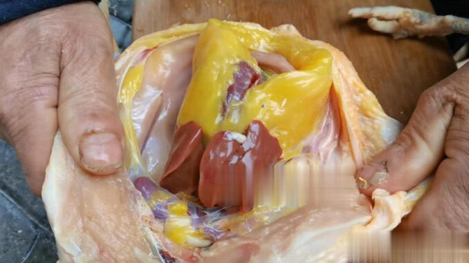 Phần thịt gà dinh dưỡng “đắt hơn giá vàng” nhưng lại hay bị người Việt vứt bỏ Phần thịt gà dinh dưỡng “đắt hơn giá vàng” nhưng lại hay bị người Việt vứt bỏ