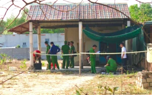 Con rể…..mẹ vợ Con rể…..mẹ vợ