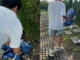 Chàng trai khóc bên mộ mẹ sau kỳ thi đại học, phía sau là chuyện rơi nước mắt