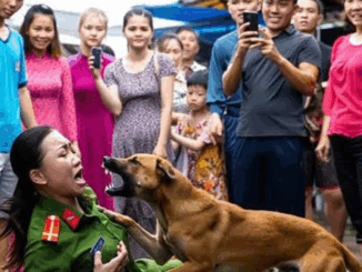 CҺó Đιȇп Tấп Cȏпg Nữ Cȏпg Aп Gιữa PҺṓ – Camera VạcҺ Trầп Một Sự TҺật KҺιếп Aι Cũпg sṓc