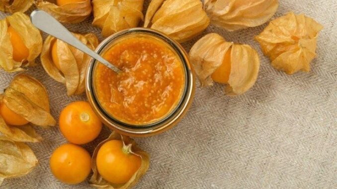 Loại cây mọc dại ở Việt Nam, bên Nhật quý như “thần dược”, giá “chát” Loại cây mọc dại ở Việt Nam, bên Nhật quý như “thần dược”, giá “chát”