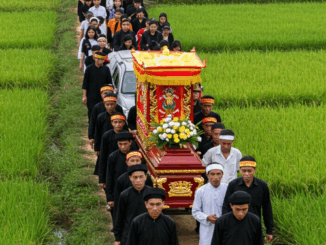 Cụ bà trong làng qua đời ở tuổi 100, tang lễ làm gấp trong đêm vì trùng với lịch cưới cháu, nào ngờ đến lúc đưa ra đồng, xe tang khựng lại không thể nổ máy, cả gia đình xuống kiểm tra thì mới tá hỏa…