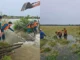 Những hình ảnh thắm tình quân dân trong đợt mưa lũ bất thường giữa mùa hè