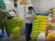 Hà Nội phát hiện nhiều cửa hàng bán gạo gi:::ả nhãn hiệu ST25