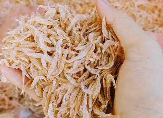 Lợi ích khi ăn tép biển mà bạn có thể chưa biết Lợi ích khi ăn tép biển mà bạn có thể chưa biết